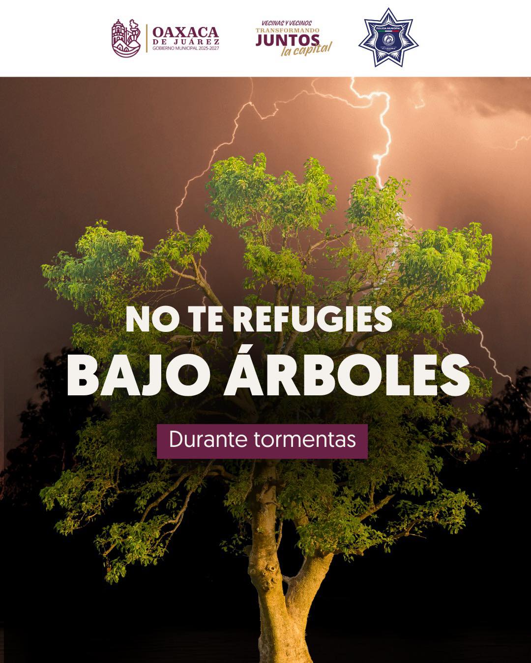 No te refugies bajo áraboles durante tormentas