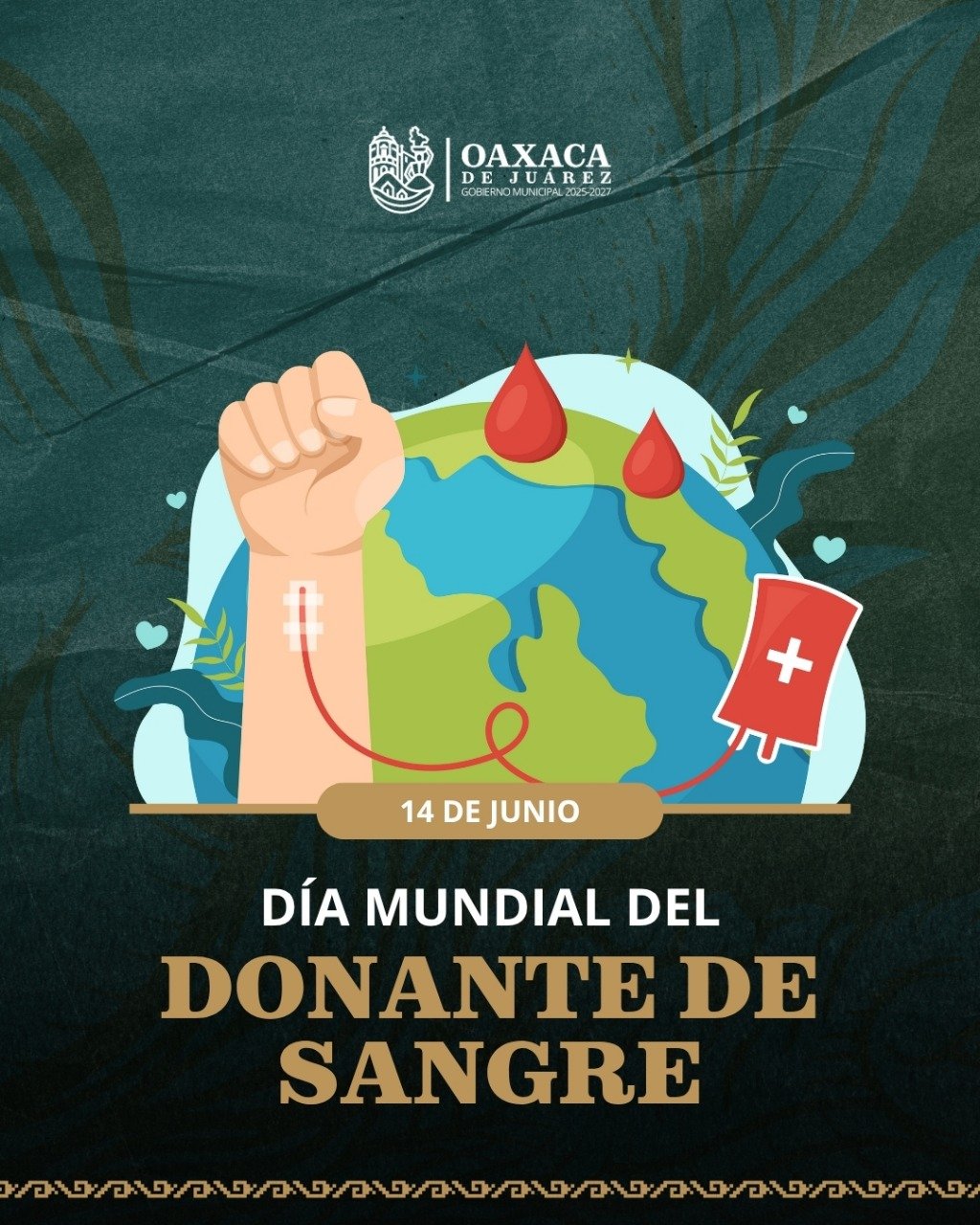Día mundial del donante de sangre, 2025