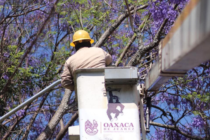Impulsa gobierno de Ray Chagoya acciones en beneficio de la Agencia Municipal de Guadalupe Victoria