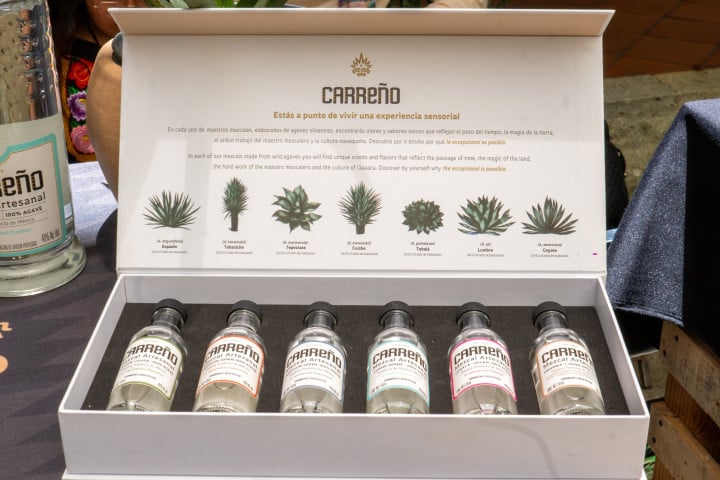 Abre sus puertas la Muestra Primavera: Mezcal, Nieves y Artesanías en Palacio Municipal