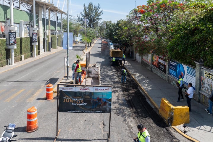 "Tache al Bache” llega al Boulevard Eduardo Vasconcelos