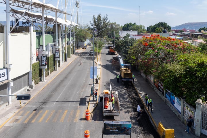 "Tache al Bache” llega al Boulevard Eduardo Vasconcelos