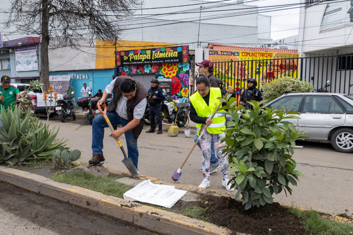 Tequios vecinales mejoran imagen urbana de Oaxaca de Juárez
