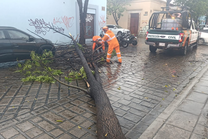 Activa Municipio de Oaxaca de Juárez el Plan Lluvia Segura ante precipitaciones registradas esta tarde