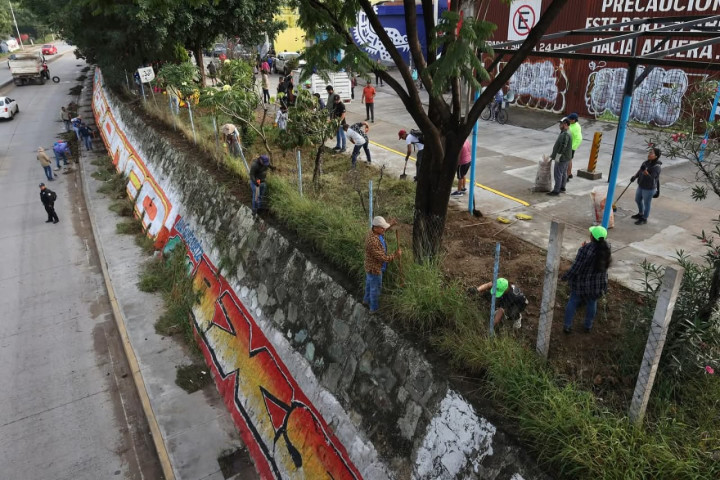 Tequios Vecinales: entusiasmo y energía ciudadana por una capital limpia y segura
