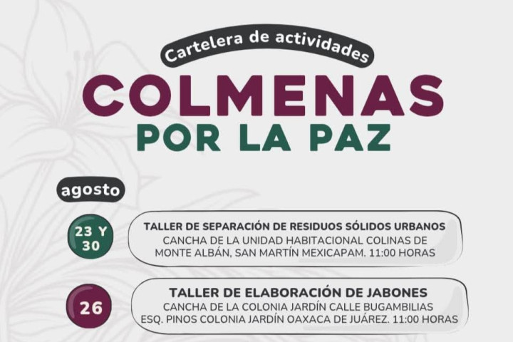Actividades de Colmenas por la Paz llegan a colonias y agencias de Oaxaca de Juárez