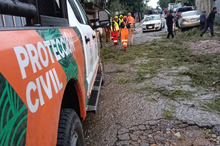 Atienden de inmediato reportes por caída de árboles y encharcamientos en Oaxaca de Juárez