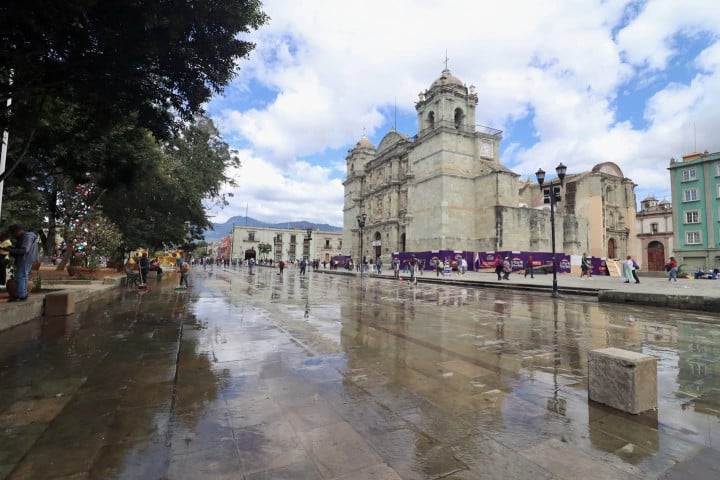 Refuerzan limpieza en el Centro Histórico con intervención en la Alameda de León