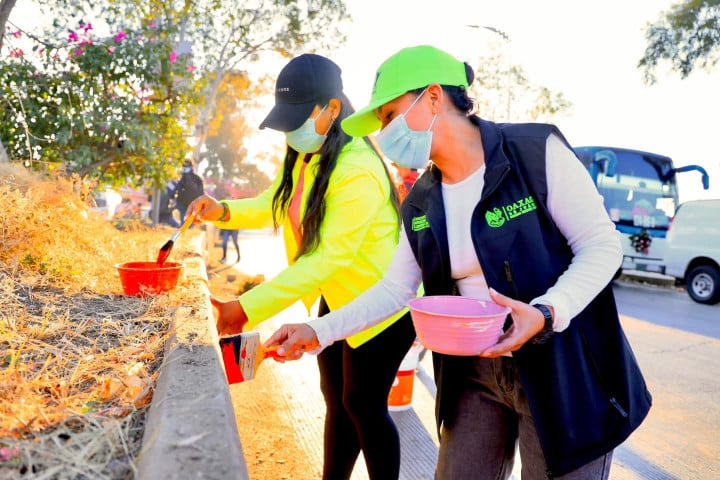 Tequio fortalece la limpieza y el trabajo vecinal en la colonia Arboleda