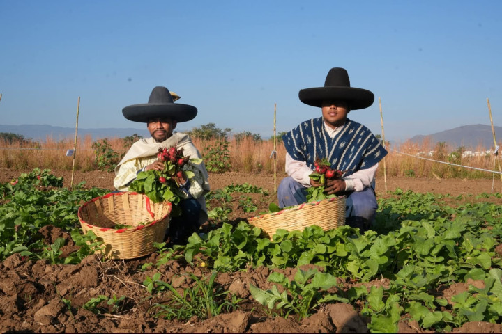 Invitan a disfrutar la Edición 128 de la Noche de Rábanos 2025, en el marco de una Ciudad Limpia y Segura