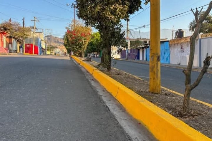Con Tequio Vecinal, Avenida Venus recupera imagen y orden urbano