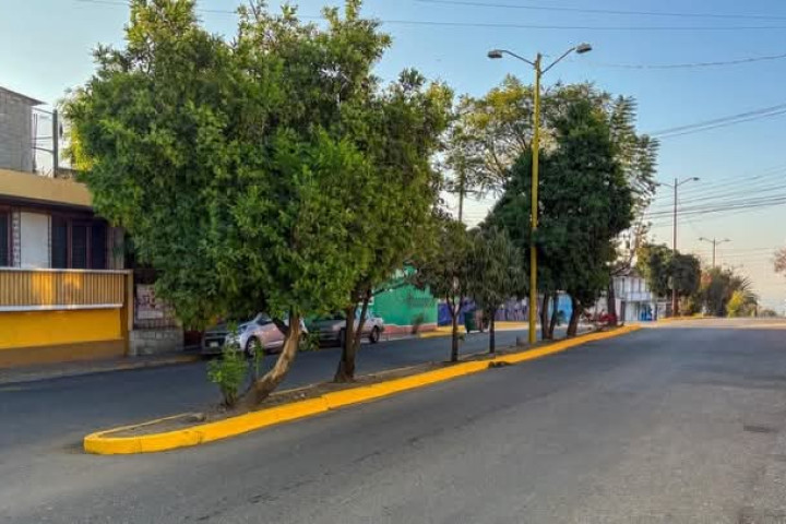 Con Tequio Vecinal, Avenida Venus recupera imagen y orden urbano