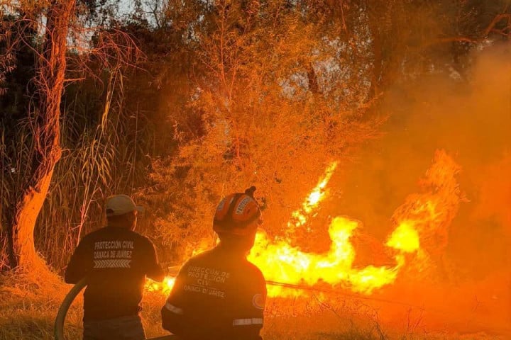 Se atiende el incendio de pastizales registrado en las riberas del río Atoyac